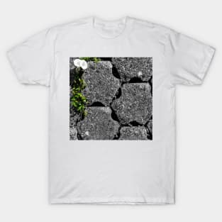 Between the stones 1 T-Shirt